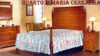  D. Maria Cerejeira